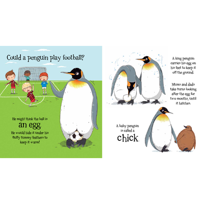 Could a Penguin Ride a Bike? image number 2