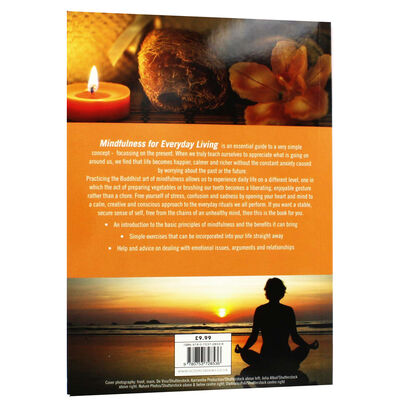 Healing Handbook: Mindfulness image number 3