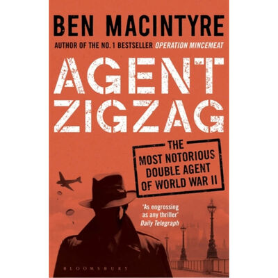 Agent Zigzag image number 1