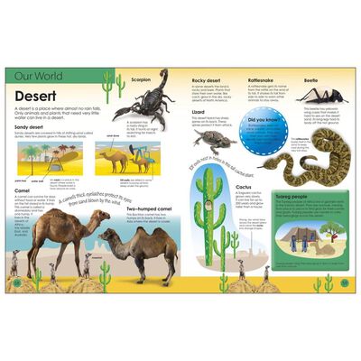 My First Encyclopedia image number 3