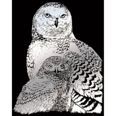A4 Engraving Art Set: Snow Owls image number 2
