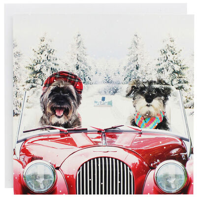 Dog Christmas Cards - Pack of 10 image number 1