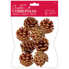 Large Pine Cones: Pack of 8 image number 1