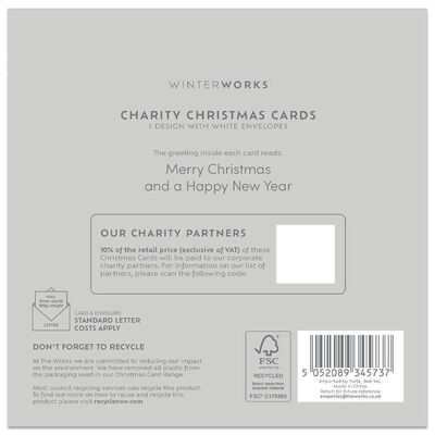 Charity Festive Shop Christmas Cards: Pack of 10 image number 3