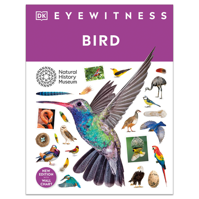 Bird: DK Eyewitness image number 1