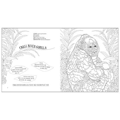 Wildlife: A Mindful Colouring Book image number 2