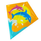 Diamond Kite image number 2