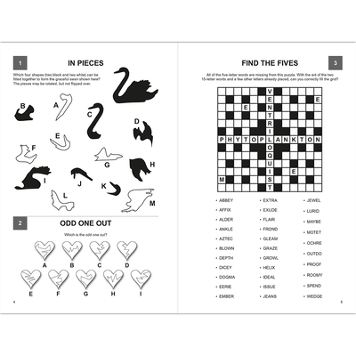 Puzzle Challenge image number 2