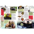 Guinness World Records 2021 image number 3