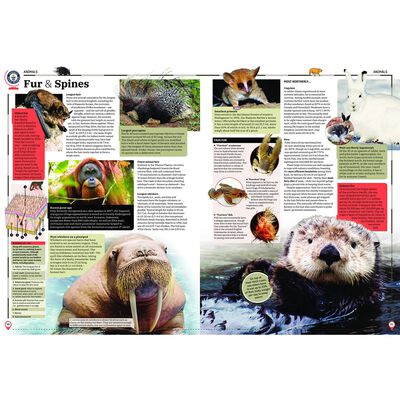 Guinness World Records 2021 image number 3