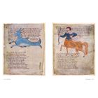 The Sky Atlas image number 2