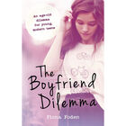 The Boyfriend Dilemma image number 1