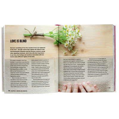 Cracking Neuroscience image number 3