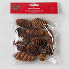 Pinecones Embellishments: Pack of 12 image number 2