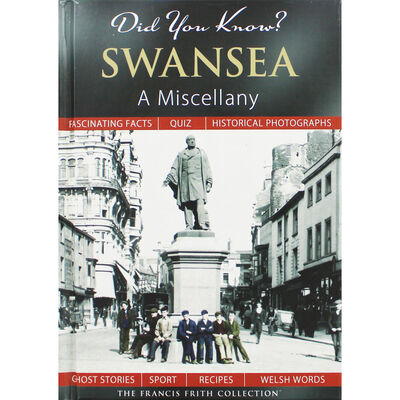 Did You Know? Swansea: A Miscellany image number 1