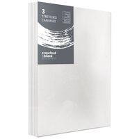 Crawford & Black 16 x 20 Inch Canvas: Bundle of 18