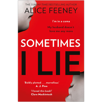 Sometimes I Lie