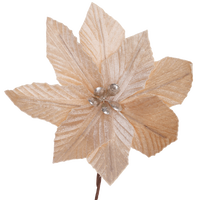 Large Gold Poinsettia