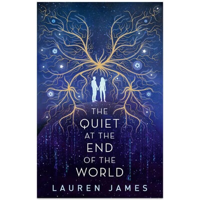 The Quiet at The End of The World image number 1