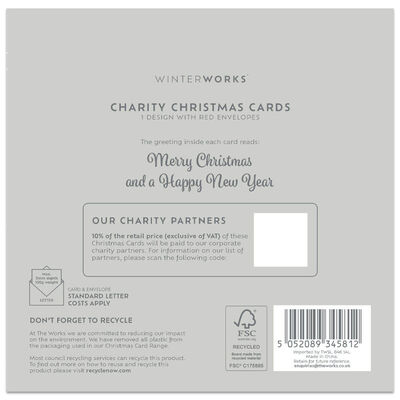 Charity Festive Family Christmas Cards: Pack of 10 image number 3