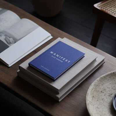 Manifest: Dive Deeper image number 4