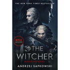 Blood of Elves: Witcher Book 1 image number 1