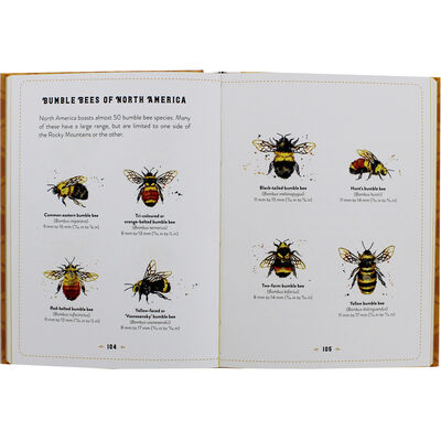 The Little Book of Bees image number 2