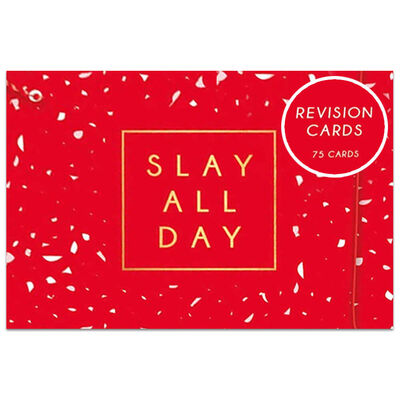 Slay All Day Revision Cards image number 1