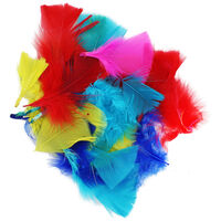 Assorted Coloured Feathers