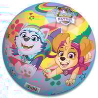 5 Inch Paw Patrol Football