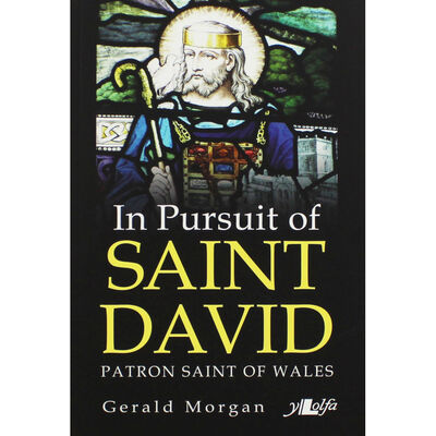In Pursuit of Saint David image number 1