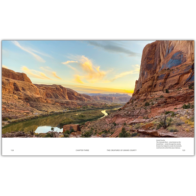 BBC Walking With Dinosaurs image number 4