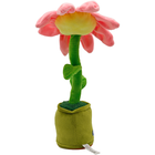 Dancing & Talking Flower image number 3