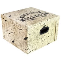 Harry Potter Quidditch Collapsible Storage Box