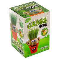 Grow and Decorate Your Own Grass Head