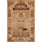 Harry Potter Quidditch At Hogwarts Wall Poster image number 1