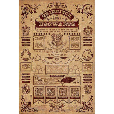 Harry Potter Quidditch At Hogwarts Wall Poster image number 1
