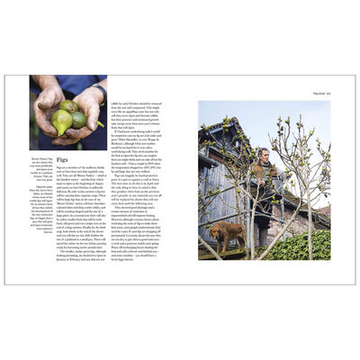 The Complete Gardener image number 3