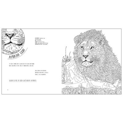 Wildlife: A Mindful Colouring Book image number 3