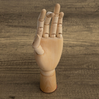 Crawford & Black Wooden Hand Manikin image number 4