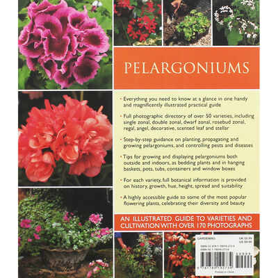 Pelargoniums image number 2