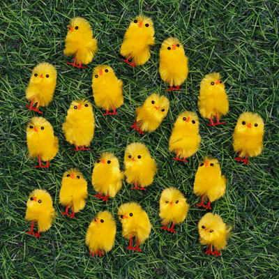 Fluffy Mini Chicks: Pack of 20 image number 2