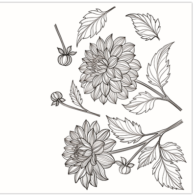 The Beautiful Blooms Colouring Book image number 3
