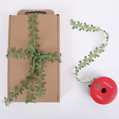 Foliage Ribbon 5m image number 2