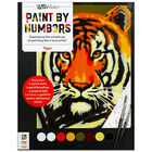 Paint By Numbers: Tiger image number 1