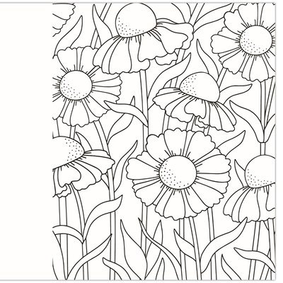 Large Print Beautiful Flowers Colouring Book image number 2