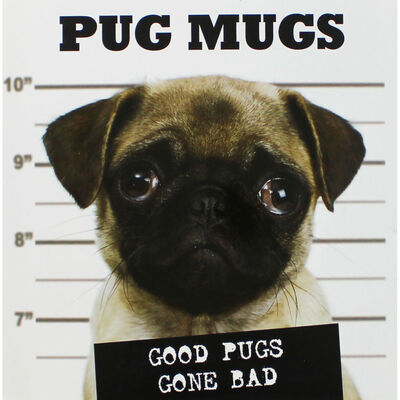 Pug Mugs image number 1