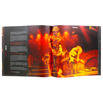 Iron Maiden image number 2