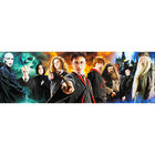 Harry Potter 1000 Piece Panorama Jigsaw Puzzle image number 4