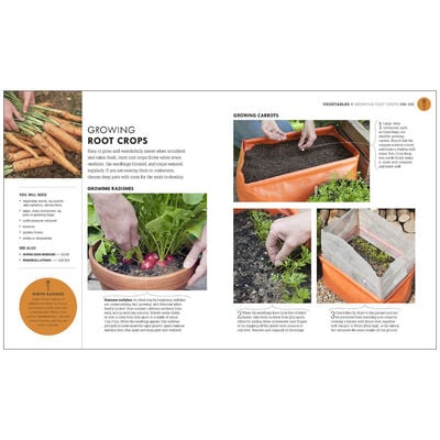 RHS: How To Garden When You're New To Gardening image number 3
